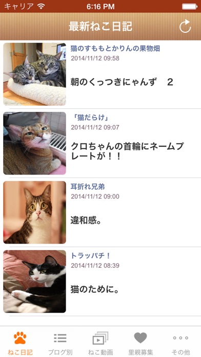 日刊ねこ新聞 - 猫ブログ＆ネコ動画アプリのおすすめ画像1