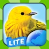 My Bird World HD Lite