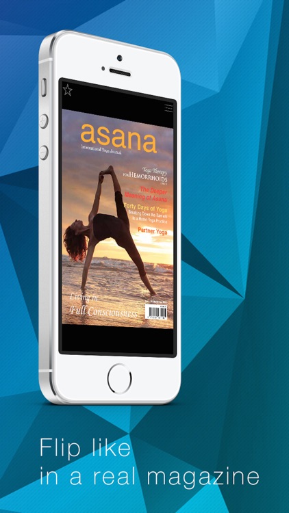 Asana Journal. screenshot-4