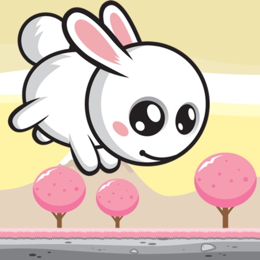 Rabbit Dash: Big Adventure