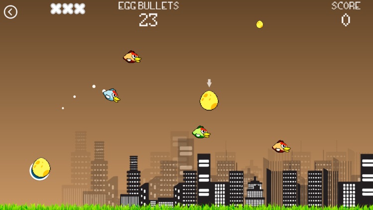 Birds Race - Flappy Run For Eggs -