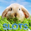 Spring Animals - FREE Slots Game The Nikephoros Way of Wealth