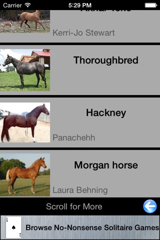 Matching Game - ASL, Horses, Airplanes & More screenshot 4