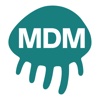 AssetView MDM