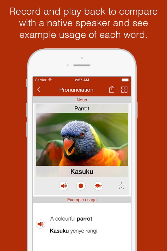 Swahili Primer - Learn To Speak And Write Swahili Language: Grammar, Vocabulary & Exercises screenshot 4