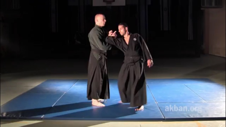 Ninjutsu screenshot-3