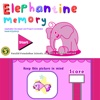 Elephantine Memory