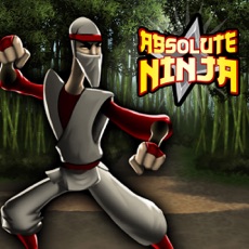 Activities of Absolute Ninja