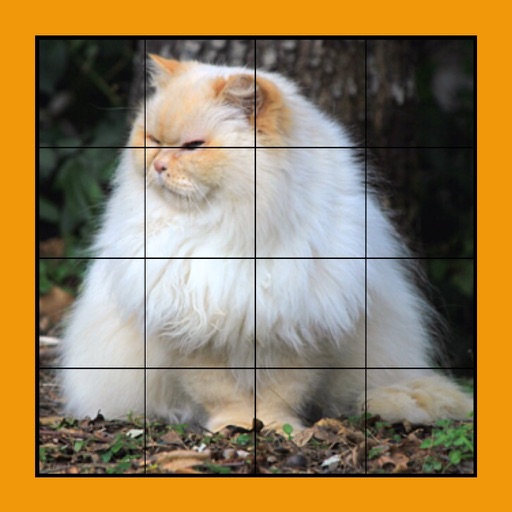 Cat Puzzles Extreme! 3 Icon