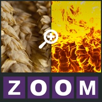 Zoom Quiz - Guess what is the picture, new fun puzzle! apk