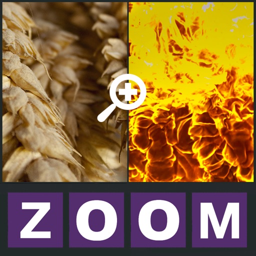 Zoom Quiz - Guess what is the picture, new fun puzzle! iOS App