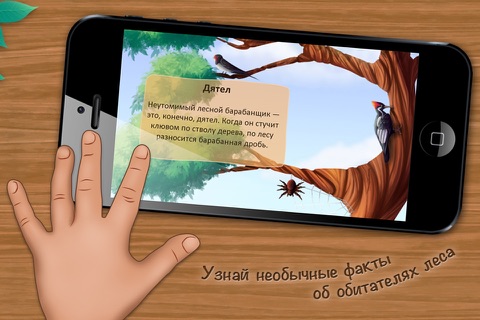 Who Lives in a Tree? An Interactive Children’s Mini-Encyclopedia. screenshot 2