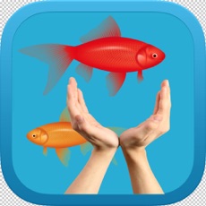 Activities of Tap Flap Fish - السمكة الطائرة