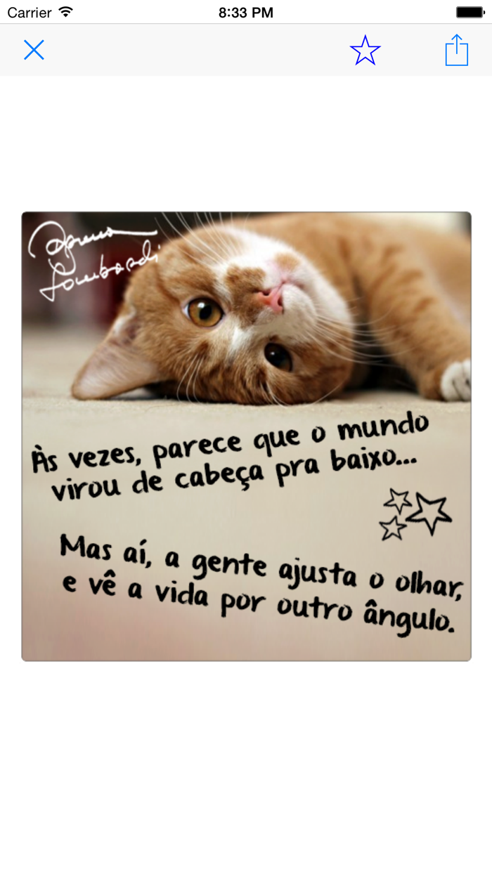 Frases de Amor e Humor