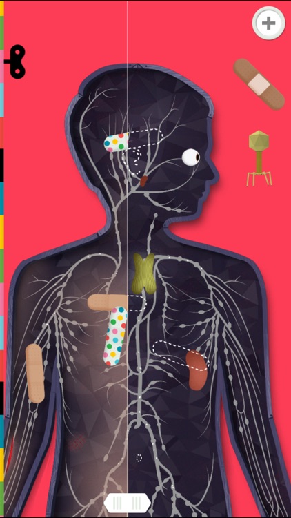 The Human Body by Tinybop
