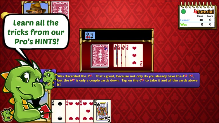 Championship Rummy 500 Rum