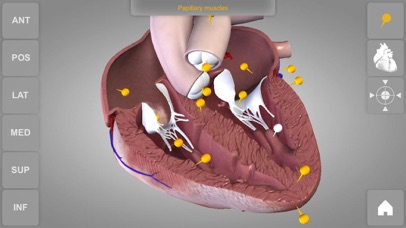 心臓解剖 Heart 3D Atlas o... screenshot1