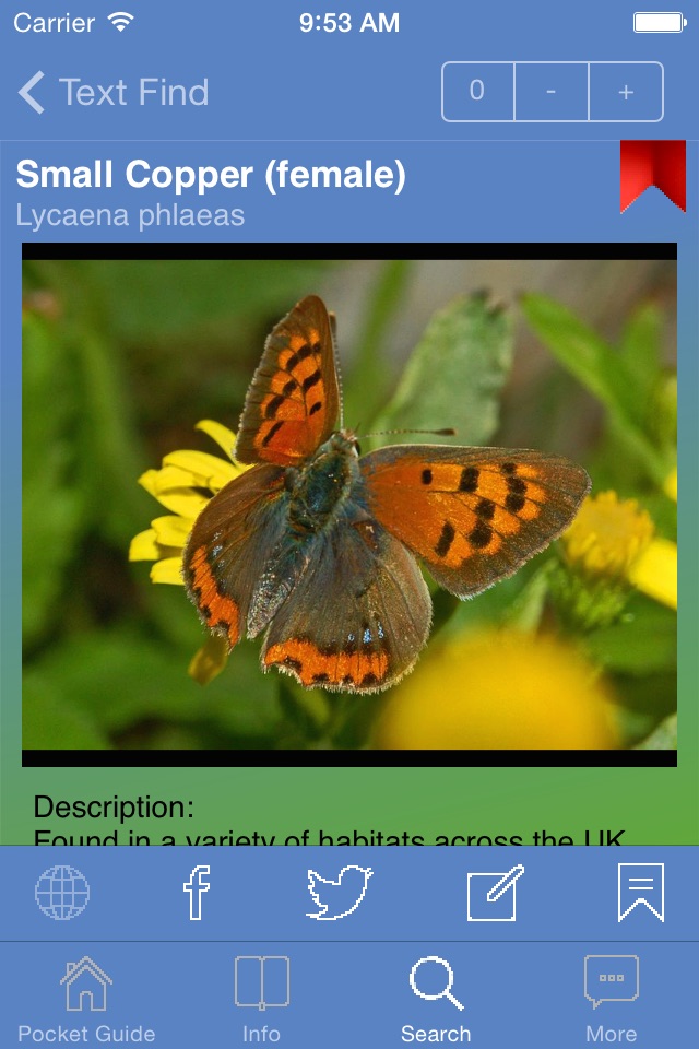 Pocket Guide UK Butterflies screenshot 2