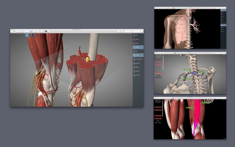 download essential anatomy 5 free for android