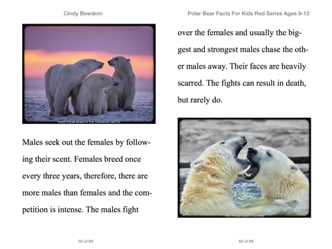 Polar Bear Facts For Kids 9-12 by Cindy Bowdoin on iBooks