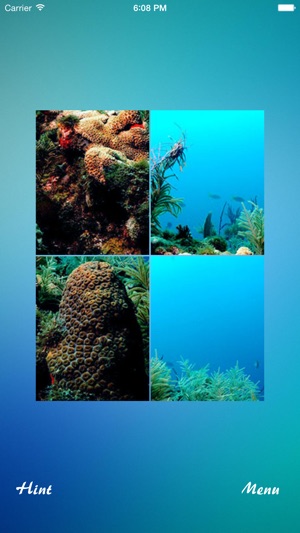 Free Ocean Jigsaw Puzzle(圖1)-速報App