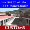 NT World - Customs