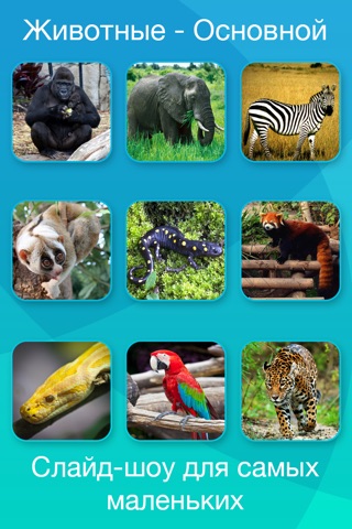 Safari and Jungle Animal Picture Flashcards for Babies, Toddlers or Preschool screenshot 2