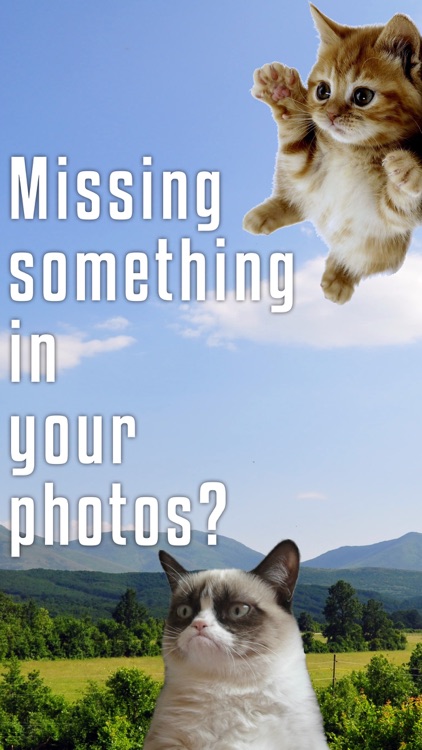 Sticky Cat - Free: Fun Stickers for pics