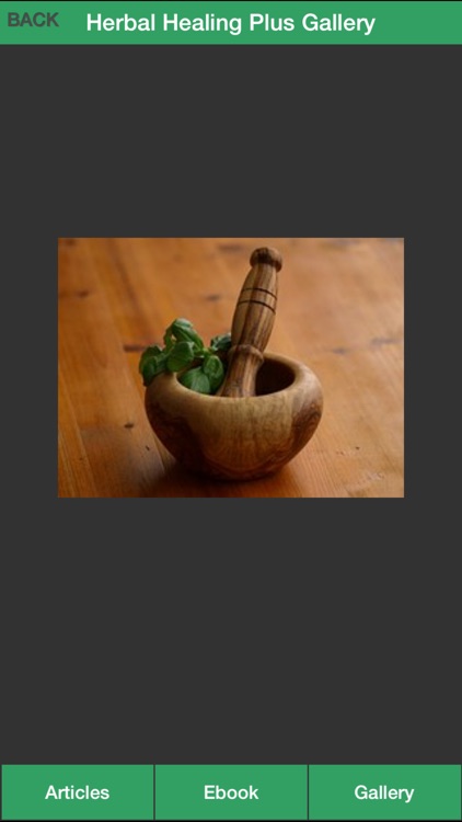 Herbal Healing Plus - A Guide To Treat Your Illnesses With Herbs! screenshot-4