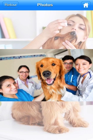 La clinique vétérinaire de Vincent Dumay screenshot 4