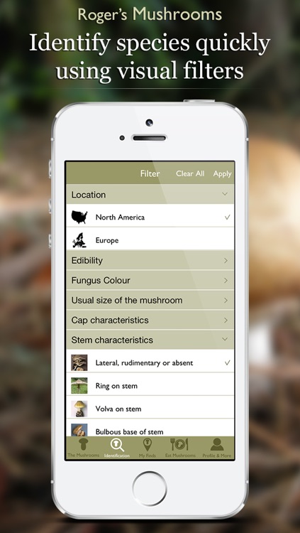 Roger's Mushrooms (Lite)