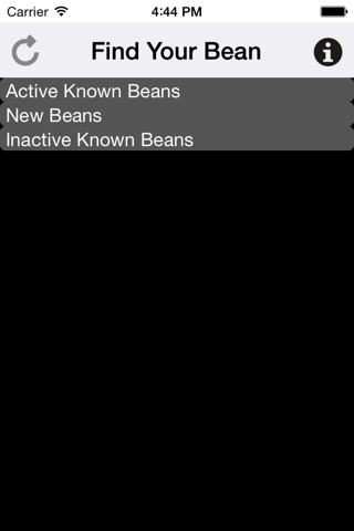 Bean Console screenshot 2