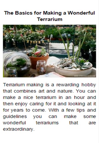 How To Make A Terrarium screenshot 3