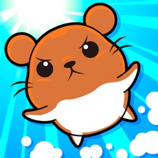 Activities of Let's Answer! Hamster Race