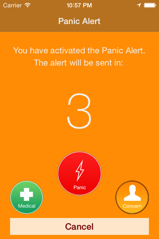 Mobile Alert by Lifefone screenshot 3
