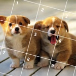 Cute Dogs Jigsaw Puzzles