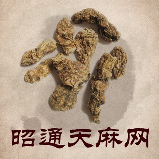 昭通天麻网 icon