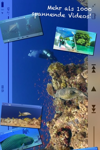Scuba Diving World screenshot 2
