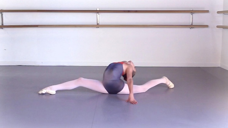 Ballet Elasticity screenshot-4