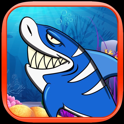 Shark Fun Adventure