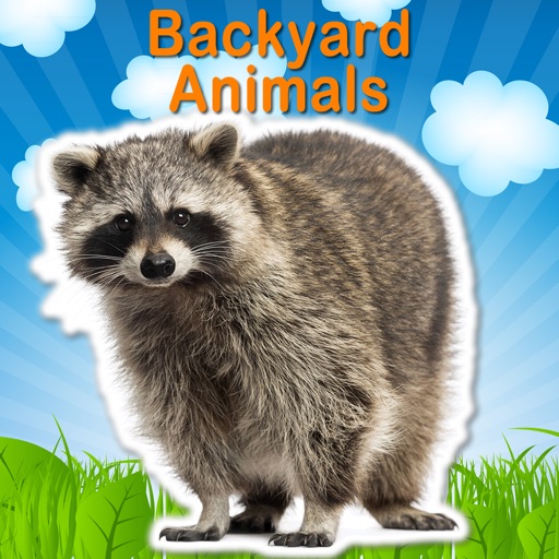 Backyard Animal Safari - Video Flashcard Player icon