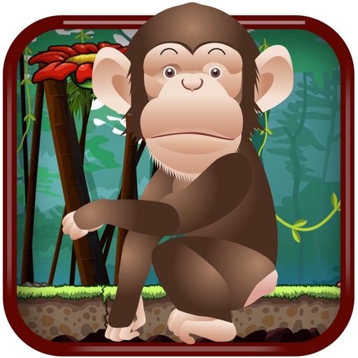 Banana Monkey Jump  - A Best Fun addictive dodge rocks jumping game experience iOS App
