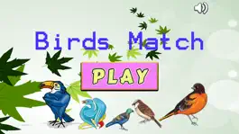 Game screenshot Improve Your Kids Brain With Matches Bird Cards mod apk