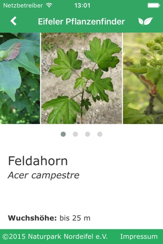 Eifeler Pflanzenfinder screenshot 4