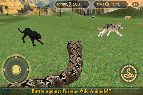 Real Anaconda Snake Simulator 3D: Hunt for wolf, bear, tiger & survive in the jungle screenshot 2