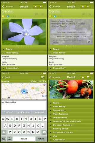 Medicinal Plant Lexicon Light screenshot 3
