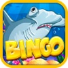 Bingo Splash Big Gold Fish in Underwater Santuary Casino in Vegas Pro