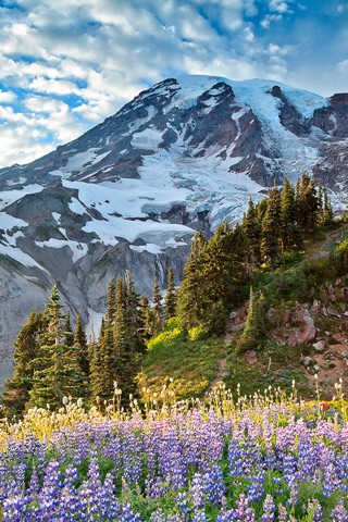 Mount Rainier National Park wallpapers screenshot 3