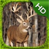 Stag Simulator - HD