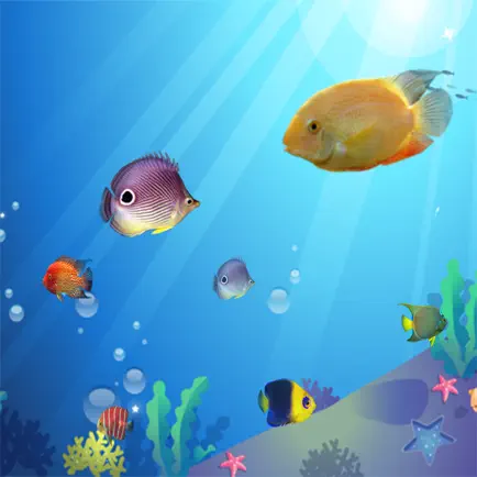 The Big Fish Eat Small Fish : Free Play Easy Fun For Kids Games Читы